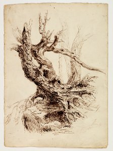 Tronco de árbol retorcido, c.1826